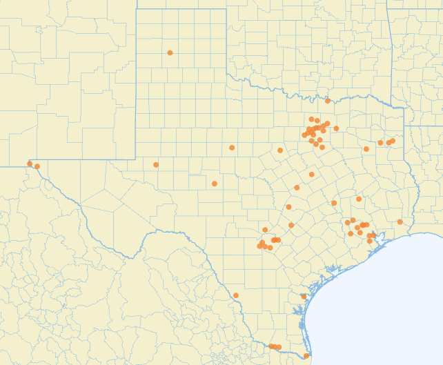 Curriculum Associates - Texas